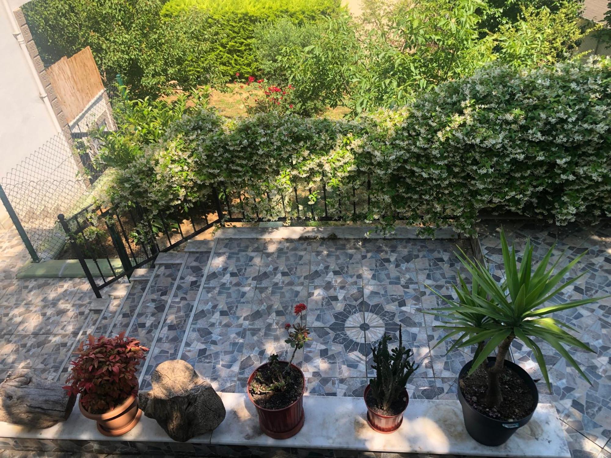 Garden House Apartament *